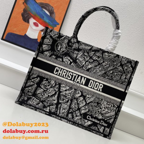 7 Star DIOR BOOK TOTE PERFECT BAG