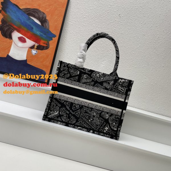 7 Star DIOR BOOK TOTE PERFECT BAG