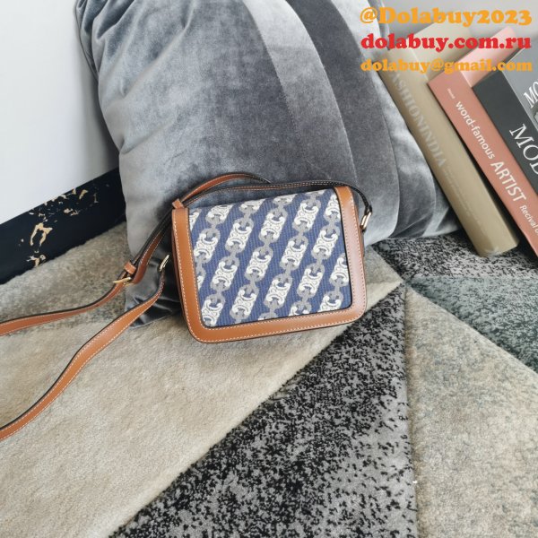 Celine Top Quality Triomphe Teen 18CM 188423 Knockoff Bag