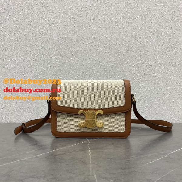 Celine Top Quality Triomphe Teen 18CM 188423 Knockoff Bag