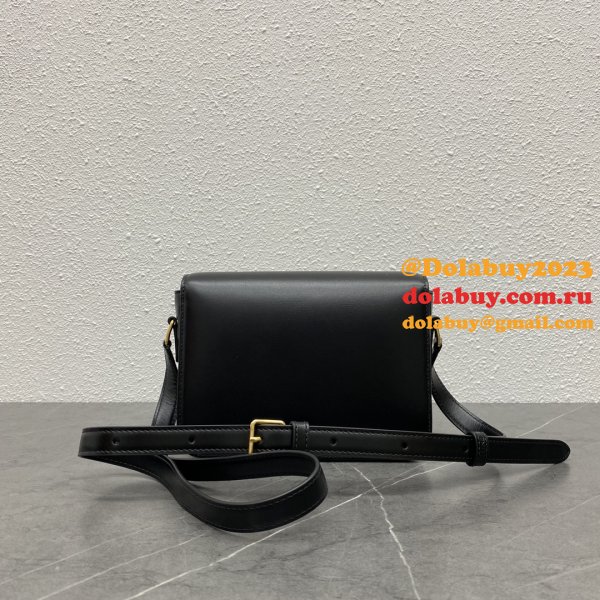 Celine TEEN TRIOMPHE BAG IN Shiny Calfskin