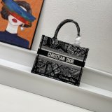 7 Star DIOR BOOK TOTE PERFECT BAG