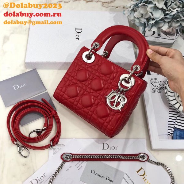 AAA+ Christian Lady Dior Handbags Online Purchase MINI 17CM