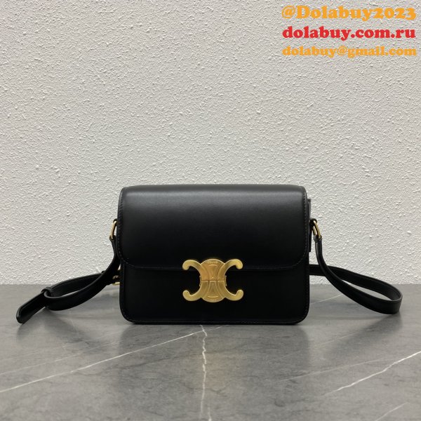 Celine TEEN TRIOMPHE BAG IN Shiny Calfskin