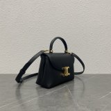 Luxury celine TRIOMPHE 20CM kelly BAG 118113