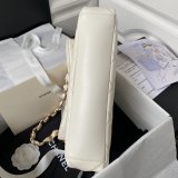 Plain Copy Hobo Luxury Elegant Formal Top Quality AS4754 Replica Bag