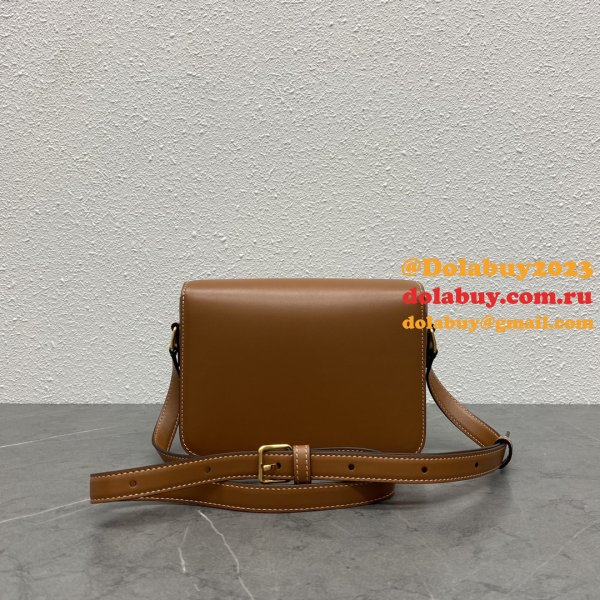 Celine TEEN TRIOMPHE BAG IN Shiny Calfskin