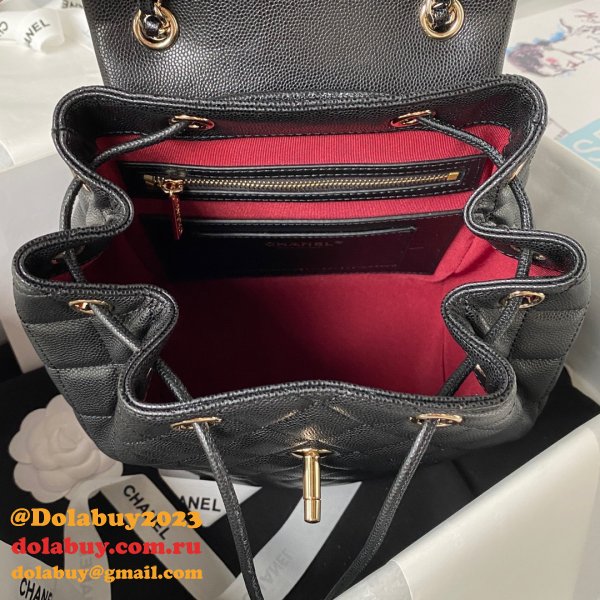 Designer Replica AS4059 Backpacks for Dolabuy Sale 25CM