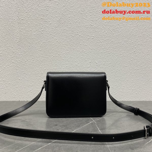 Celine TEEN TRIOMPHE BAG IN Shiny Calfskin