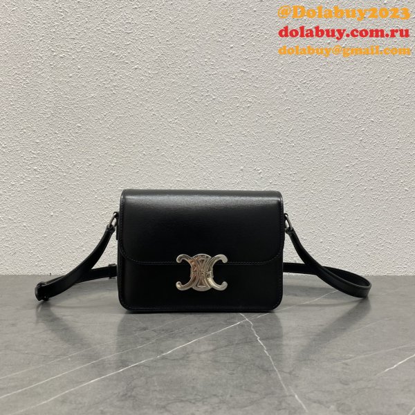 Celine TEEN TRIOMPHE BAG IN Shiny Calfskin