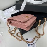 Replica 19CM Iridescent Wallet On Chain WOC AP1450 Bag