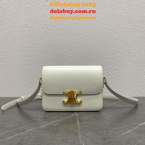 Celine TEEN TRIOMPHE BAG IN Shiny Calfskin