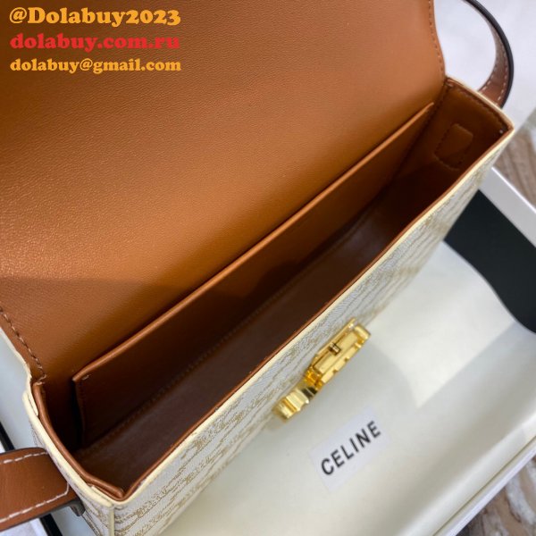 Best Quality Replica Triomphe 20CM Celine 1:1 bags