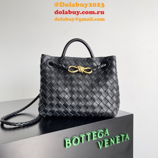 BOTTEGA VENETA ANDIAMO Small 25cm Bag Leather Strap