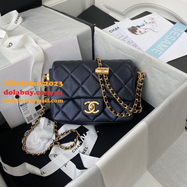 High Quality Designer Replica Mini AS2855 Flap Bag Iridescent Grained Calfskin & Gold-Tone Metal